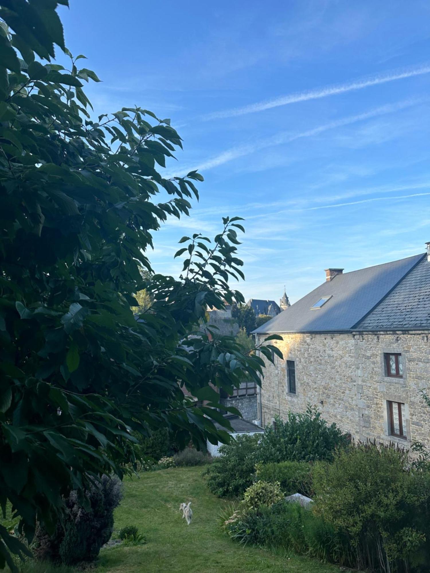 Maison Comtale 罗什福尔 外观 照片